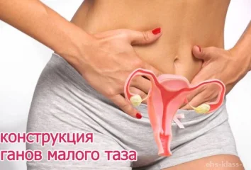 Прием врача уролога-хирурга, андролога Самофаловой Ю.С.